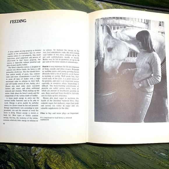 Healthy Horse Handbook Illustrated Hardcover Educational Academia - Picture 15 of 16